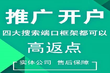 百度竞价广告投放成功案例解析